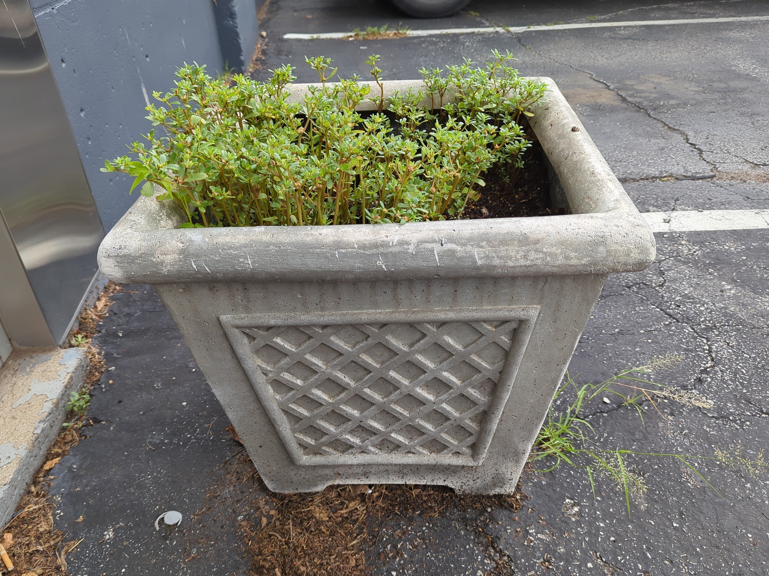 Lot image 5