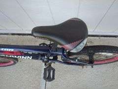 Schwinn Falcon Bicycle