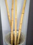 Oversized Vase with Bamboo Stalks