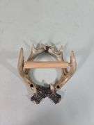 Hamilton Vintage Camping Lantern, And Resin Deer Antler Toilet Paper Holder