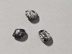 Natural Raw "Apache Tears"/Obsidian Stones, Qty 3, Total weight - .5 oz and Seashell Fossils, Qty 2