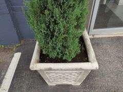 Concrete Planters, Qty 2