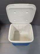 Igloo Ice Cube Cooler And Rolling Shopping Cart
