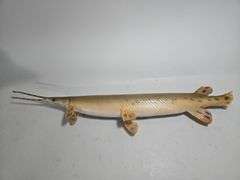 Taxidermy Mounted Fish, Includes Longnose Gar, Walleye, Largemouth Bass, And Rainbow Trout, Total Qty 4, And Shark Jaw