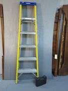 Werner Ladder With Gorilla Ladder Attachments