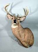 Classic Military Collectible Firearm And Sportsman Auction