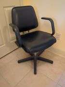 Styling Salon Chair