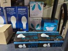 Light Bulbs Including LED, Halide, Flood Lights, and More, Contents Of 2 Shelves
