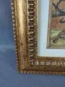 Framed Safari Animal Art Prints