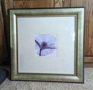 Flower X-Ray Framed Print, 25.5" x 25.5" x 1.5"