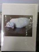 Abundance Art Greeting Cards, Approx Qty 24, Various Styles