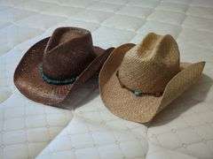 Cowboy Hats Including Stallion and Western Gal, Qty 4