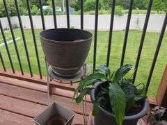 Decorative Plant Pots and Indoor Plants