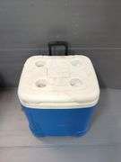 Igloo Ice Cube Cooler And Rolling Shopping Cart