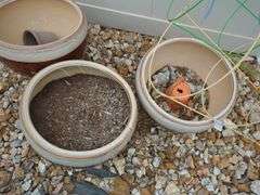 Assorted Ceramic Garden Pots Including Tomato Cage