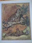 Framed Safari Animal Art Prints