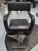 Salon Styling Chair with Floor Mat