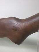 Stevens 66 .22 SLLR Bolt Action Rifle SN# Not Found