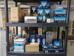 Light Bulbs Including LED, Halide, Flood Lights, and More, Contents Of 2 Shelves
