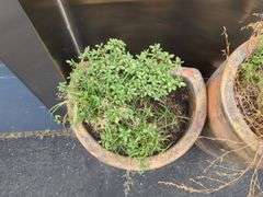 Concrete Outdoor Planters, Qty 3