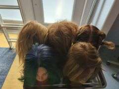 Hair Styling Training Mannequins Heads, Qty 5