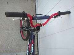 Schwinn Falcon Bicycle