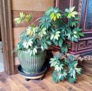 Warrensburg Missouri Moving Estate Auction
