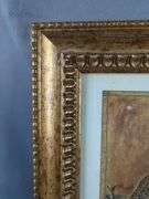 Framed Safari Animal Art Prints