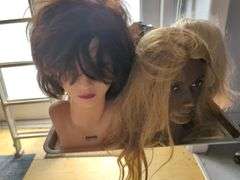 Hair Styling Training Mannequins Heads, Qty 5