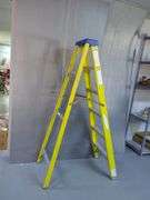 Werner Ladder With Gorilla Ladder Attachments