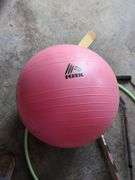 RBX Ball, Franklin Hockey Stick, Hula Hoop, and Exercise Rope