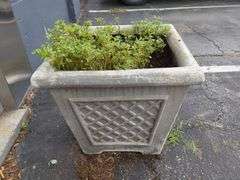 Concrete Planters, Qty 2