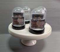 Hallmark Keepsake Ornaments, Snow Globes, Christmas Decorations, and More