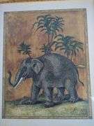 Framed Safari Animal Art Prints