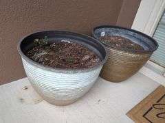 Decorative Planters, Qty 2
