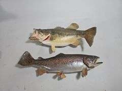 Taxidermy Mounted Fish, Includes Longnose Gar, Walleye, Largemouth Bass, And Rainbow Trout, Total Qty 4, And Shark Jaw