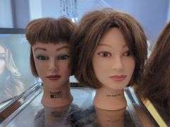 HairArt Training Mannequin Heads, Qty 4