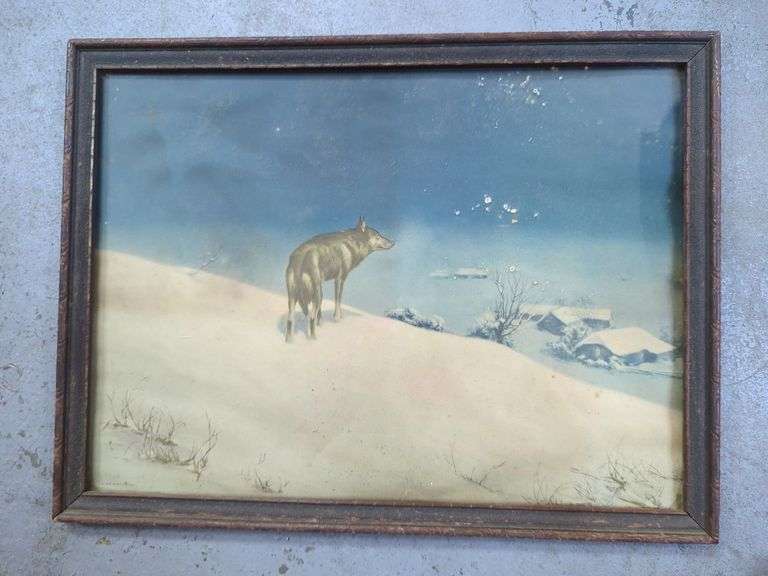 Framed Lone Wolf Print