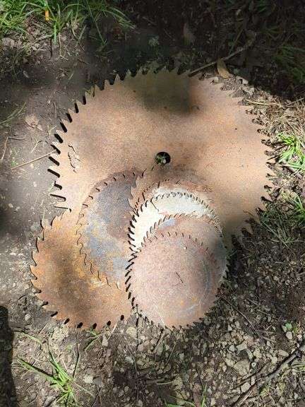 Circular Saw Blades - Salvage or Reuse