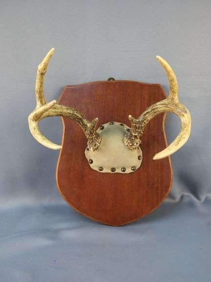 Deer Antler Mounts