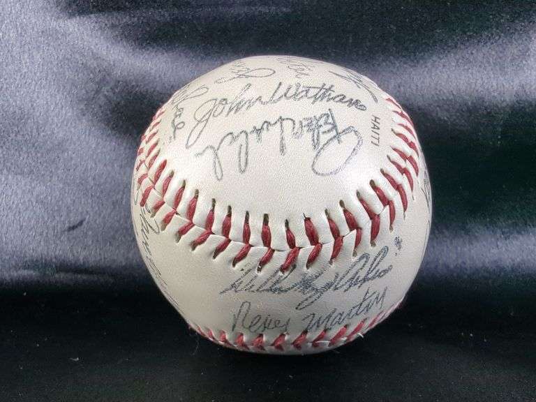 Stamped Multiple Signatures Baseball