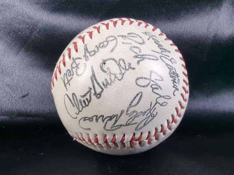 Stamped Multiple Signatures Baseball