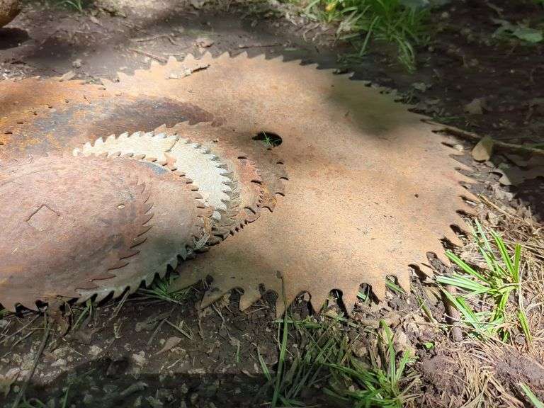 Circular Saw Blades - Salvage or Reuse