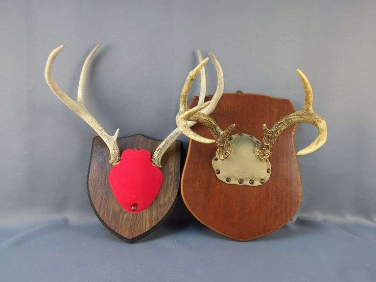 Deer Antler Mounts