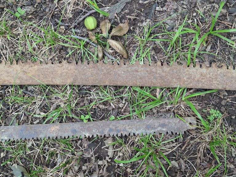 Two Person 6' Crosscut Saw and Blade