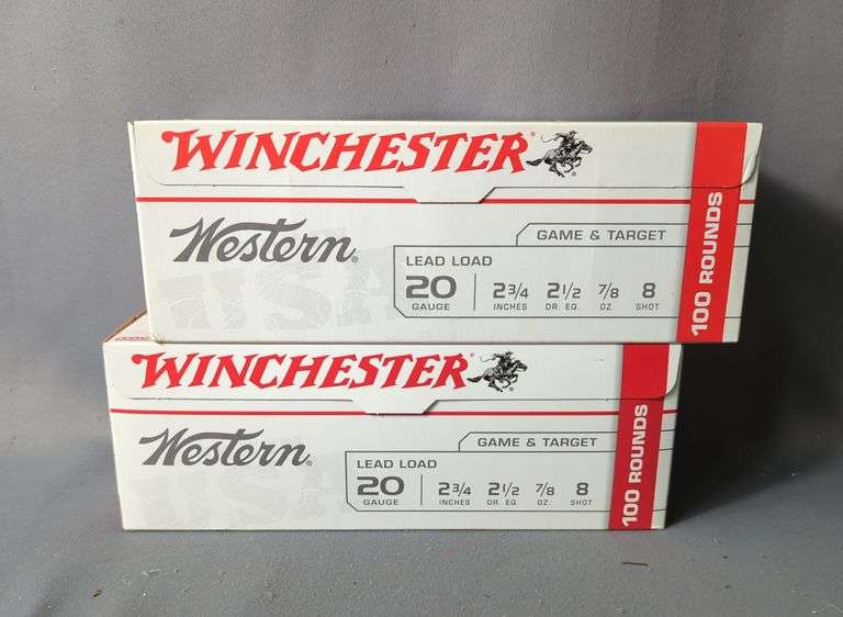 Winchester Western 20 ga Ammo, Approx 200 Rds, Local Pickup Only image