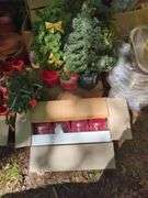 Holiday Decor and Ceramic Planters