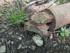 Hydraulic Cylinders, Qty 2