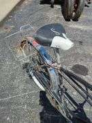 Schwinn Skipper Bicycle