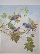 Bernard Martin Signed Bird Prints